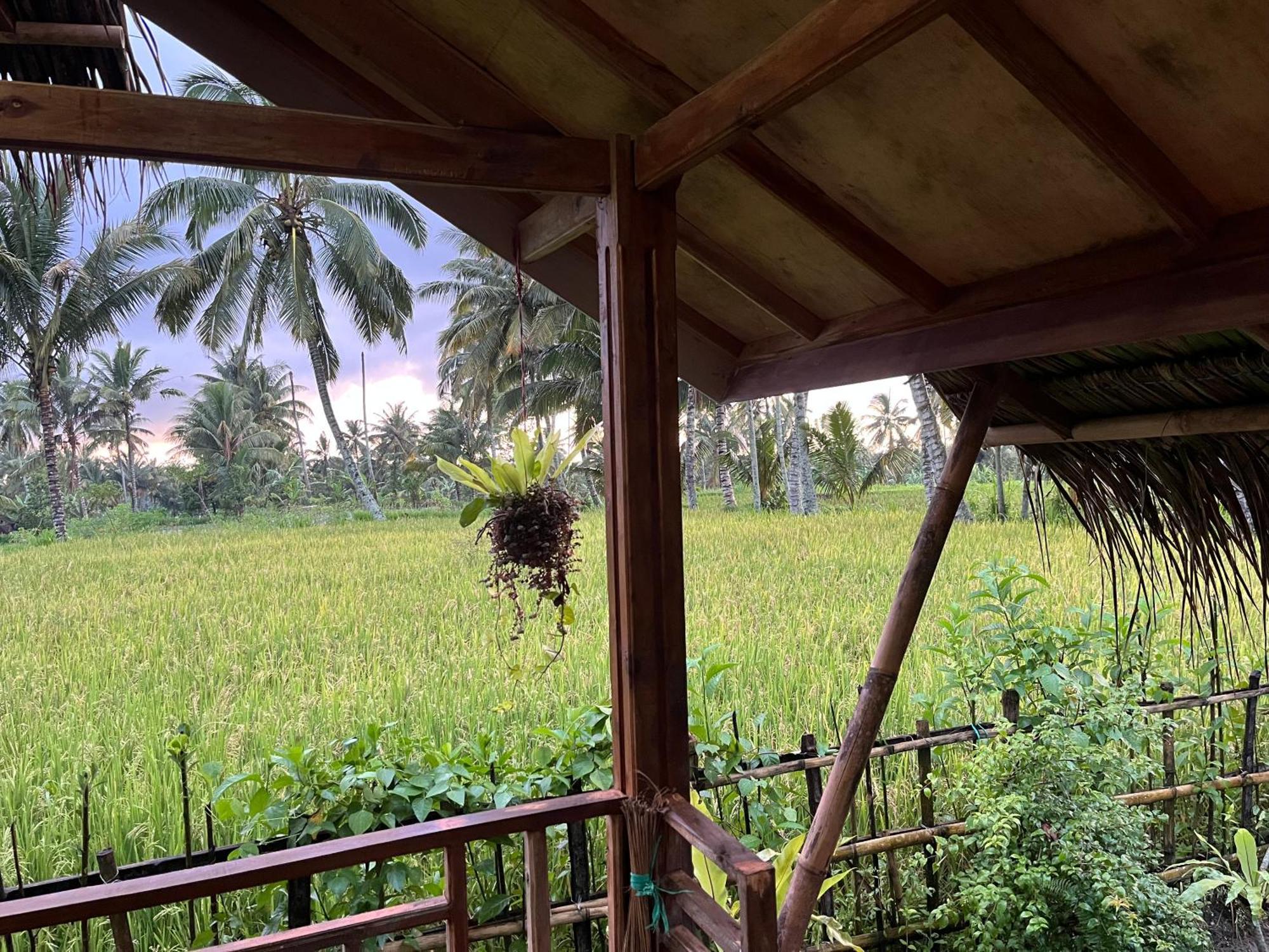 Syaqila Homestay Lombok Tetebatu Exterior foto