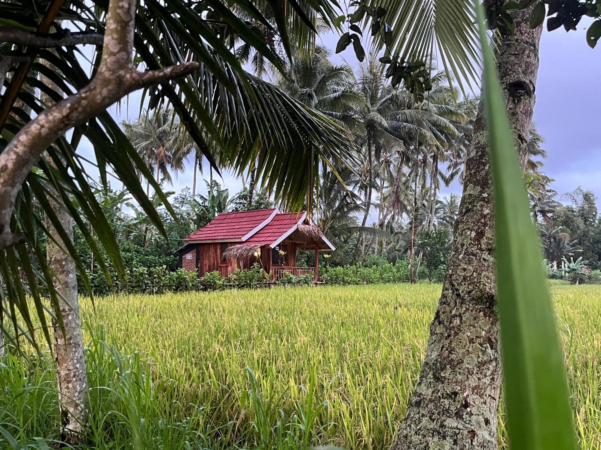 Syaqila Homestay Lombok Tetebatu Exterior foto