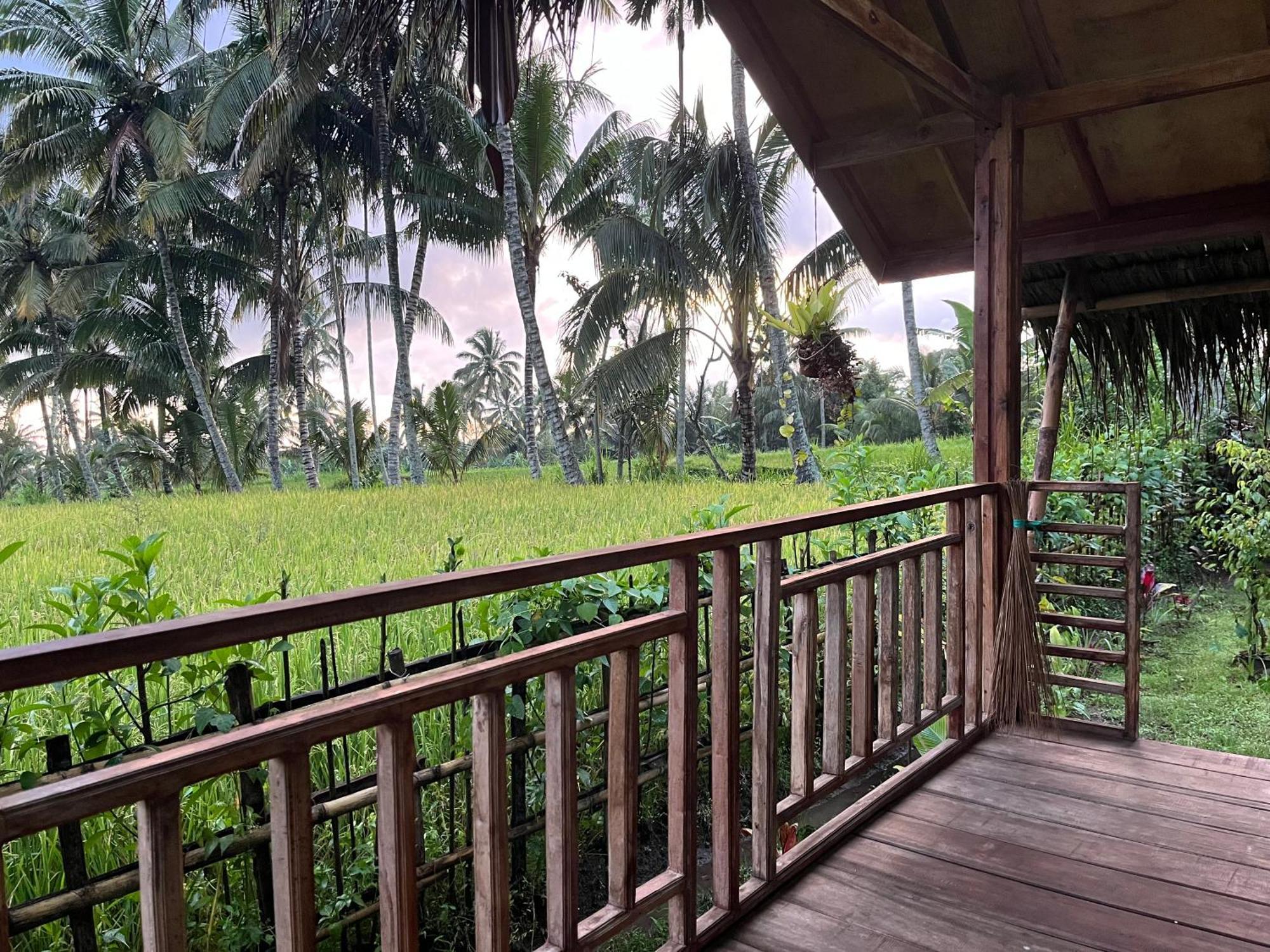 Syaqila Homestay Lombok Tetebatu Exterior foto